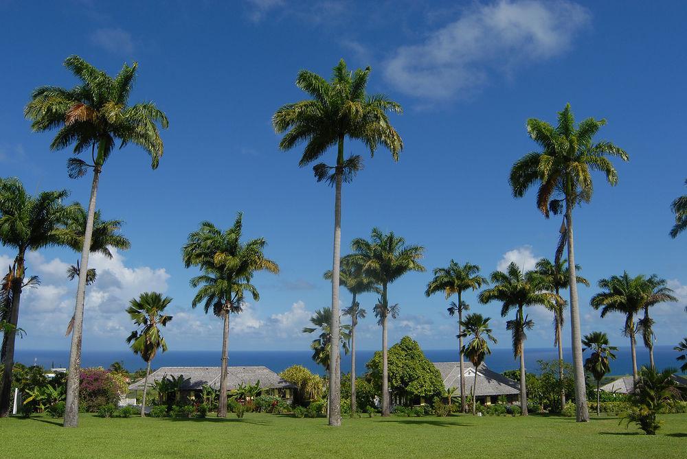 Ottleys Plantation Inn Cayon Exteriör bild